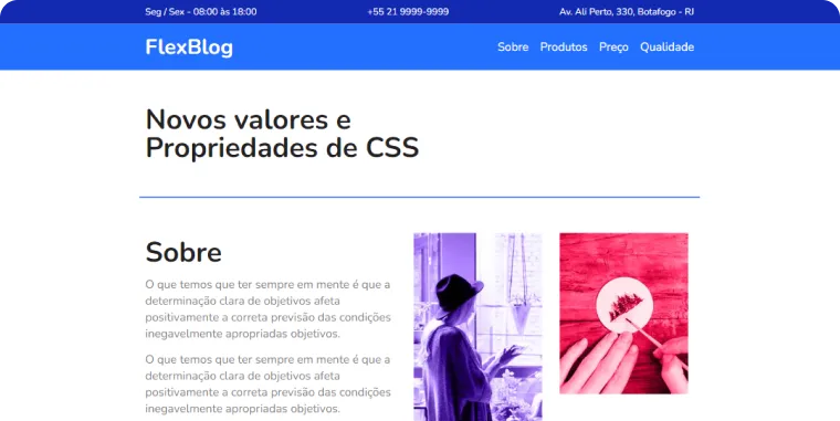 Imagem do site flexbox